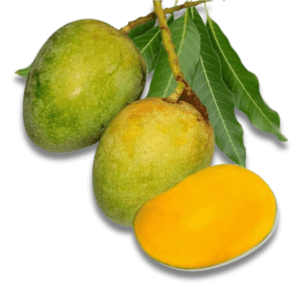 Mango Fazli